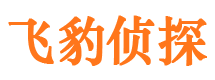 铜仁侦探公司